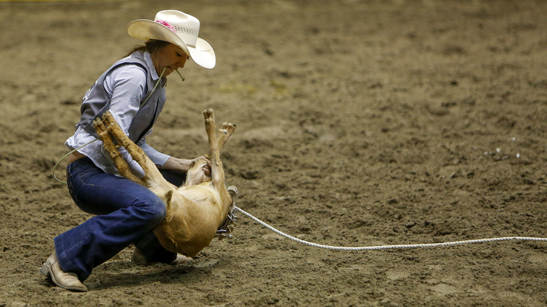 CNFR Tuesday